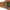 Outdoor Mountain Logo SS26 Camel Suede Explorer Waist Bag