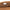 Outdoor Mountain Logo SS26 Camel Suede Explorer Waist Bag