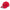 script cny red pack ss26 scarlet 9forty adjustable cap side