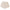Script Jelly Pack SS26 Vintage Stone Women Knit Shorts