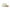 NE Script Stone Khaki Youth 9TWENTY Adjustable Cap