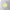 new era golf double mesh yellow grey 9forty a frame trucker snapback cap logo and print