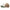 new era wordmark ne collog cream brown 9forty a frame trucker cap side