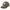 new era script patch new olive 9forty m crown adjustable cap front and side