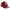 philadelphia phillies local dishes cardinal red 9forty a frame adjustable cap front and side